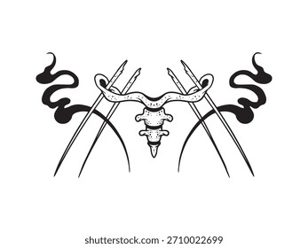 hand drawn coccyx bones illustrations 