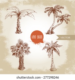 Hand drawn coco palm trees sketch set.Vector illustration on vintage grunge background. Travel and vacation symbols.