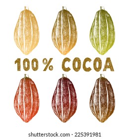 hand drawn cocoa beans set in color