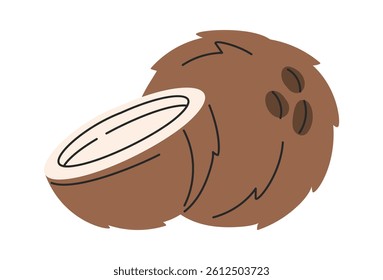 Hand drawn coconut exotic fruit