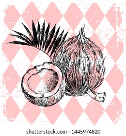 Hand drawn coconut with half and leaves over pink rhombus background. Vector illustration