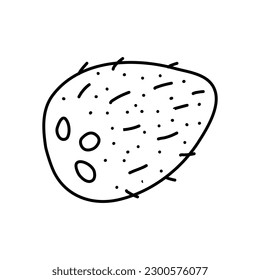 Icono de coco dibujado a mano. Ilustración vectorial en estilo de boceto para folletos, banner y mercado de productos de etiquetas