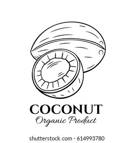 Hand drawn coconut icon. Vector illustration in the old ink style for brochures, banner, restaurant menu and market