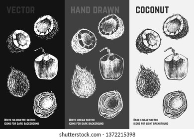 Hand drawn coconut icons set isolated on white, gray and black chalk background. Sketch of coco nut and tropical cocktail for packaging and menu design. Vintage vector illustrations.