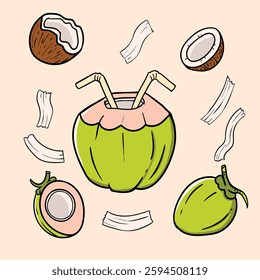 Hand drawn Coconut Illustration for Infographic