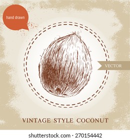 Hand drawn coconut isolated on vintage background.Retro sketch style vector tropical food illustration.