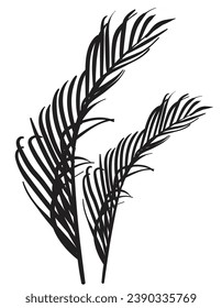 ilustración vectorial de hojas de coco dibujadas a mano