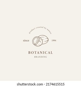 Logo de coco dibujado a mano. Ilustración botánica