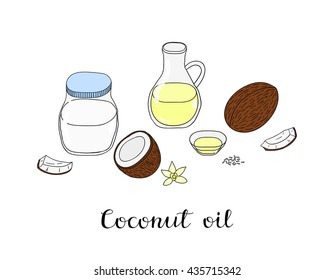 Hand drawn coconut oil in glass bottles and raw cocos isolated on white background.