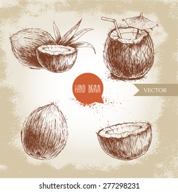 Hand drawn coconut set. Cocktail isolated on vintage background. Retro sketch style vector tropical food illustration.