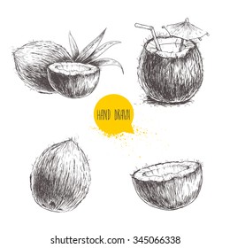 Hand drawn coconut set. Cocktail isolated on white background. Sketch vector tropical food illustration.