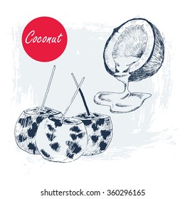 Hand drawn coconut set. Cocktail isolated on vintage background. Retro sketch style vector tropical food illustration.