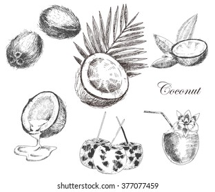 Hand drawn coconut set. Cocktail isolated on vintage background. Retro sketch style vector tropical food illustration.