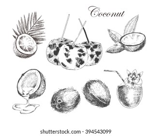 Hand drawn coconut set. Cocktail isolated on vintage background. Retro sketch style vector tropical food illustration.