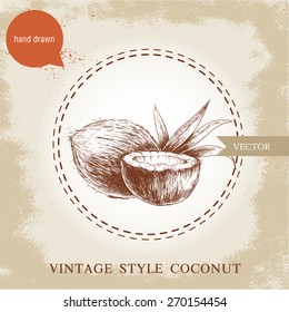 Hand drawn coconuts isolated on vintage background. Retro sketch style vector tropical food illustration.