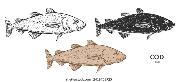 handgezeichneter Kabeljaufisch einzeln auf weißem Hintergrund. Zeichnen Sie das Karikaturelement in der Umriss-, Monochrome- und Farbversion ein. Vektorgrafik im Retro-Vintage-Gravierstil.