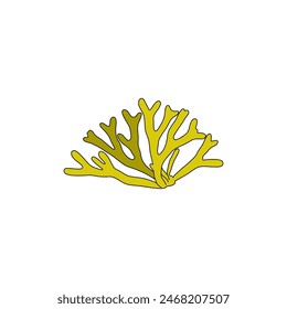 Hand drawn Codium tomentosum or velvet horn green seaweed algae graphic illustration. Natural drawing