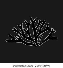 Hand drawn Codium tomentosum or velvet horn green seaweed algae graphic illustration. Natural drawing