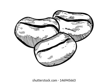 hand drawn coffee bean