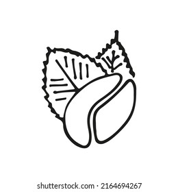 doodles de judías de café dibujados a mano. Fondo de la ilustración del esbozo del vector