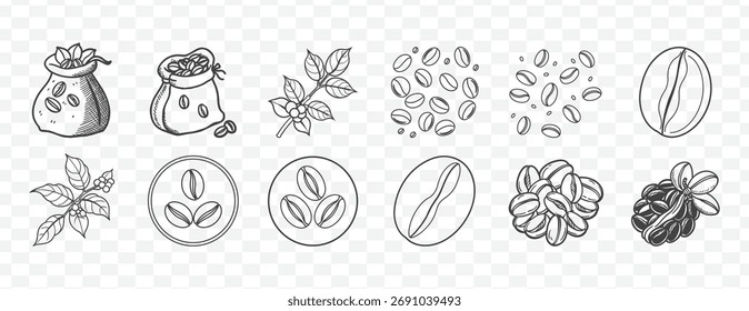 Hand drawn coffee bean elements set for art and design projects