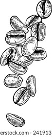 Hand drawn Coffee Beans Falling Sketch Illustration