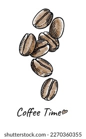Granos de café dibujados a mano aislados de fondo blanco. Vegetariano, comida orgánica. Ilustración vectorial. 