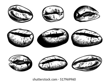 Hand drawn coffee beans set. Vector illustration