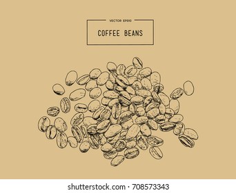 Hand drawn coffee beans set. Vector illustration.