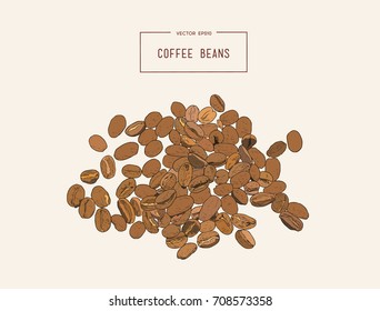 Hand drawn coffee beans set. Vector illustration.