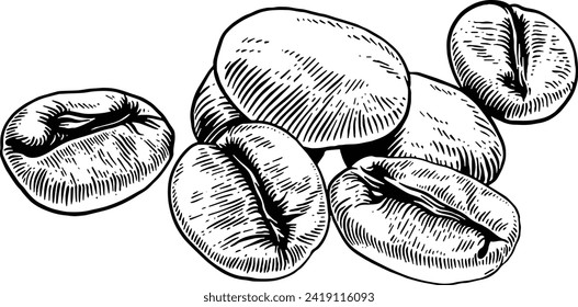 Hand drawn Coffee Beans Sketch Illustration