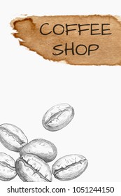 Hand drawn coffee beans and watercolor spot isolated on white. Vector illustration
