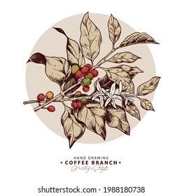 Hand Drawn Coffee Branch, Beans, and Flower with Vintage Style on circle