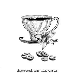 Hand drawn coffee cup and coffee beans with vanilla pods and flower.