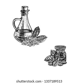 Hand drawn coffee oil. Extract of plant. Retro isolated sketches. Vintage collection. Linear graphic design. Black and white image. Vector illustration.