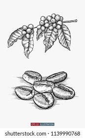 Hand drawn coffee set. Branch, leaves and berries. Coffee beans. Engraved style vector illustration. Template for your design works.