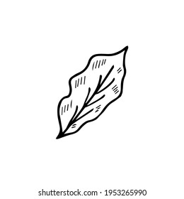Hand drawn coffee set sketch  illustration. Menu design for cafe, restaurant, coffee shop, doodle design.