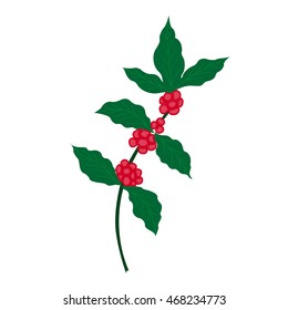 Hand drawn coffee tree branch in color, isolated.
