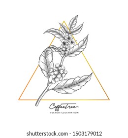 Hand Drawn Coffee Tree frame vector