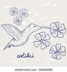 Hand drawn colibri vector. Sketch of popular exotic bird. Humming bird and flowers isolated on grunge background. Ball pen tropical bird vector for design, picture, wrapping, decorating, stickers etc