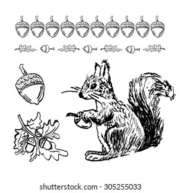 hand drawn collection with acorn and squirrel