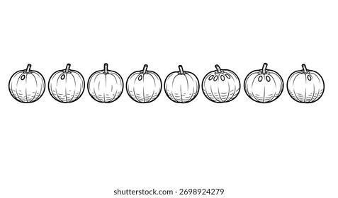 Hand drawn collection of assorted pumpkins and gourds line art on white vector
