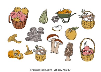 Hand drawn collection of autumn harvest doodles including apples, mushrooms, pumpkins, and squash in rustic style isolated on white background. Vector sketch style