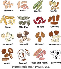 Hand drawn collection of bean and nut seeds on white background in doodle art style