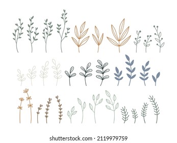 Colección dibujada a mano con bellas ramas de estilo plano aisladas en blanco. Elementos botánicos, hierbas, hojas y plantas silvestres para decoraciones, carteles y tarjetas. Ilustración floral