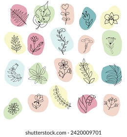 Hand drawn Collection botanical plants. DesignCollection herbs in Line art style. 