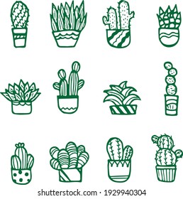 Hand drawn Collection of Cactus and Echeveria succulent plant pots collection vector