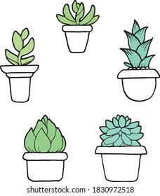 Hand drawn collection of cactus plants.