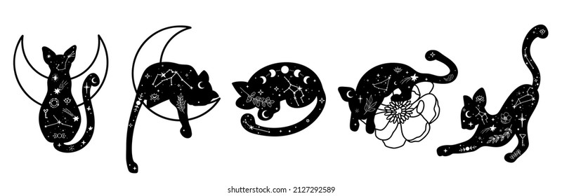 Hand drawn collection of celestial wild animals