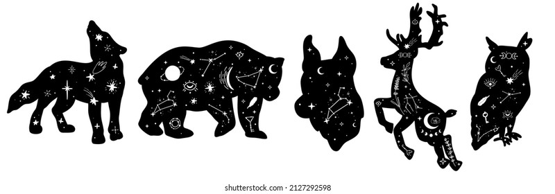 Hand Drawn Collection Of Celestial Wild Animals